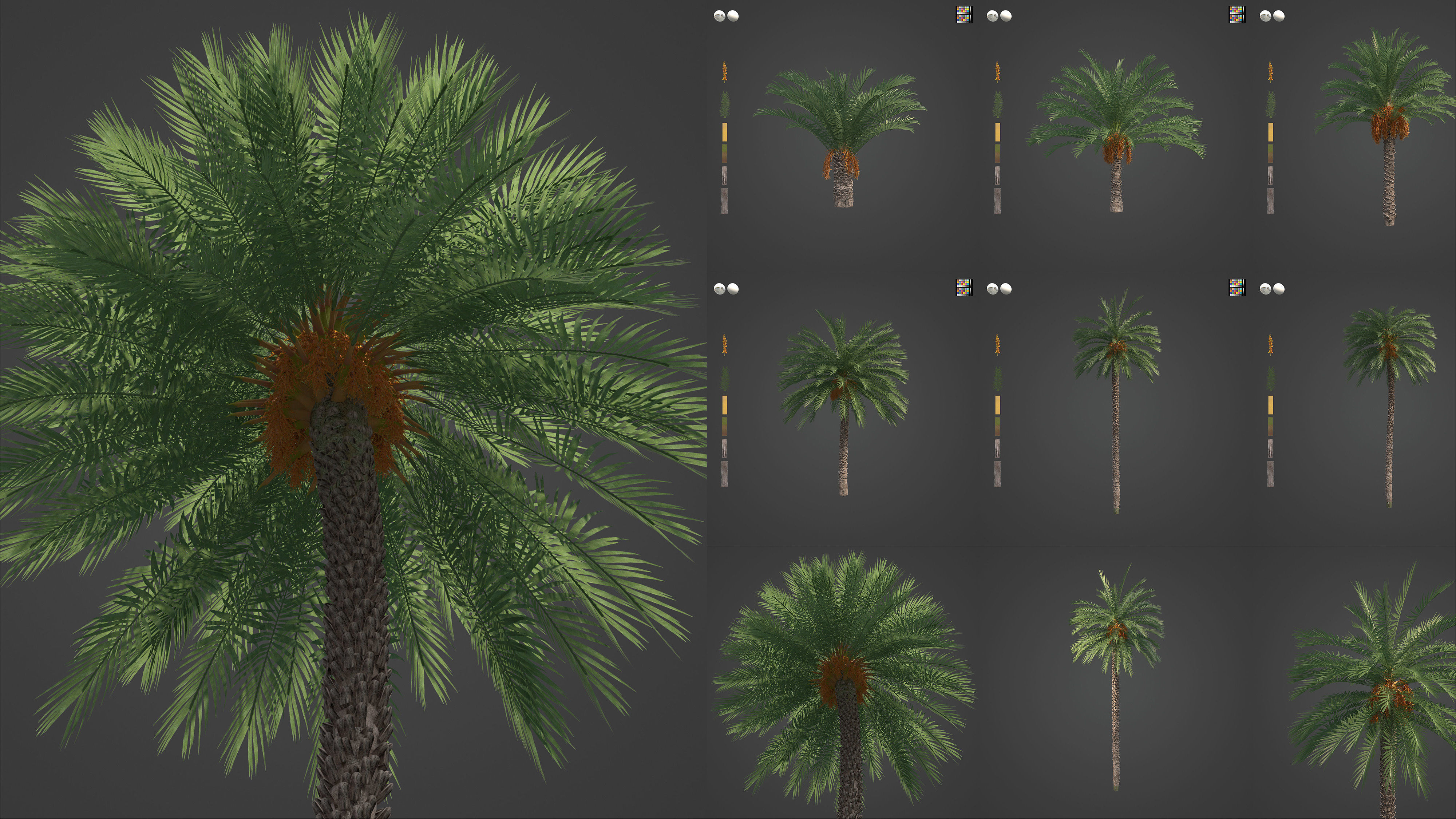 Xfrog Oceania 3D Model Collection_6