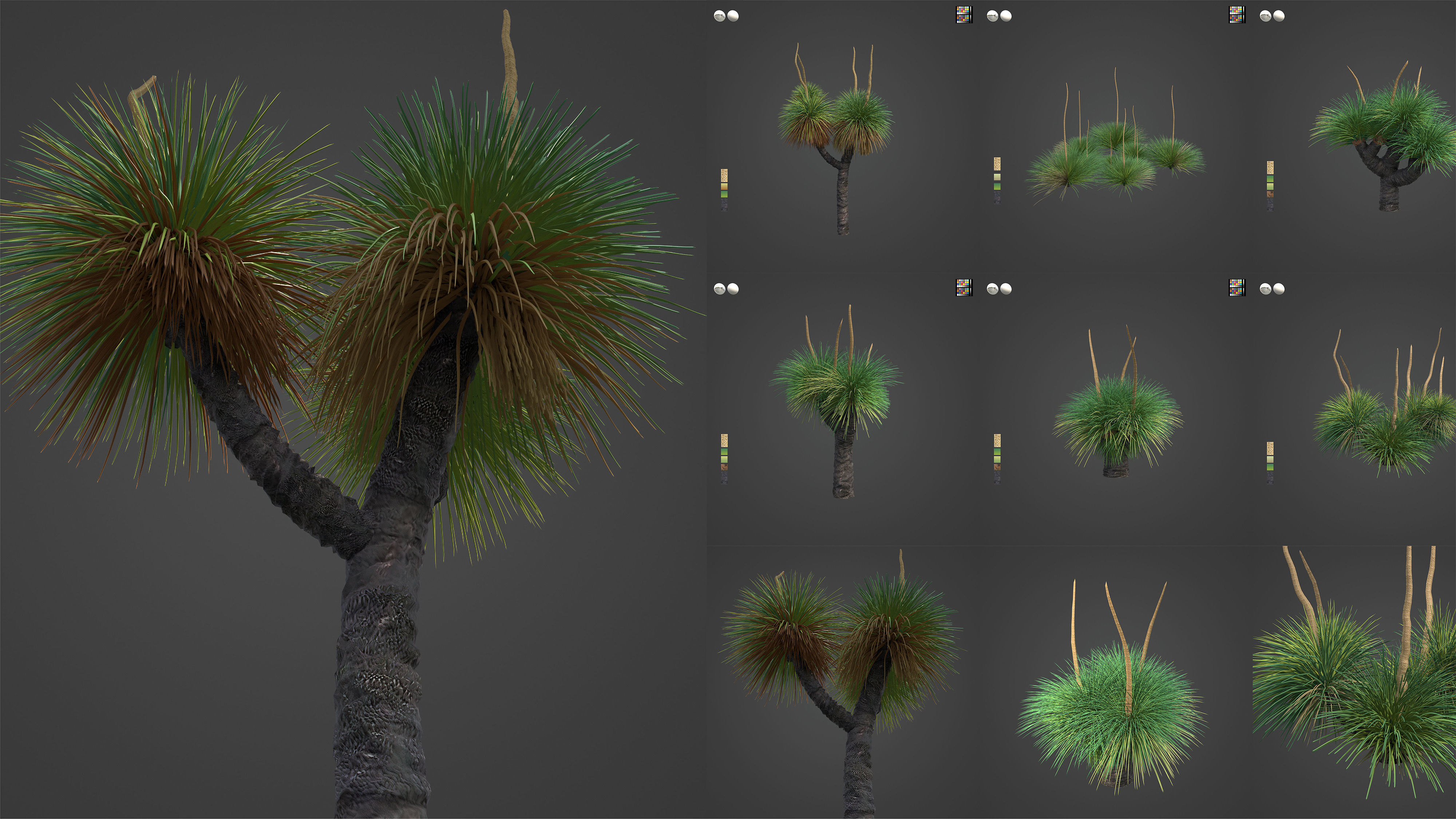 Xfrog Oceania 3D Model Collection_9