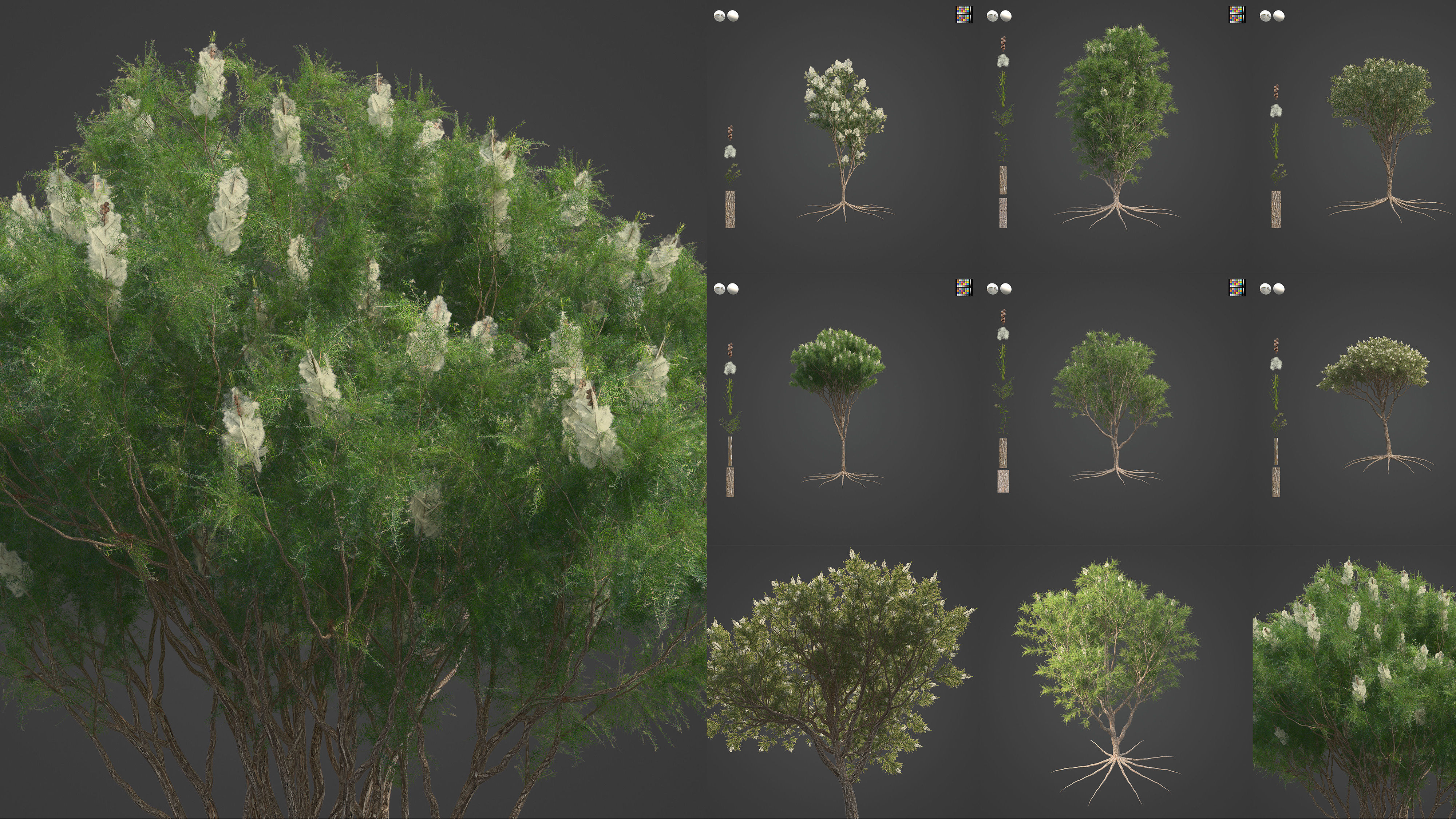 Xfrog Oceania 3D Model Collection_2