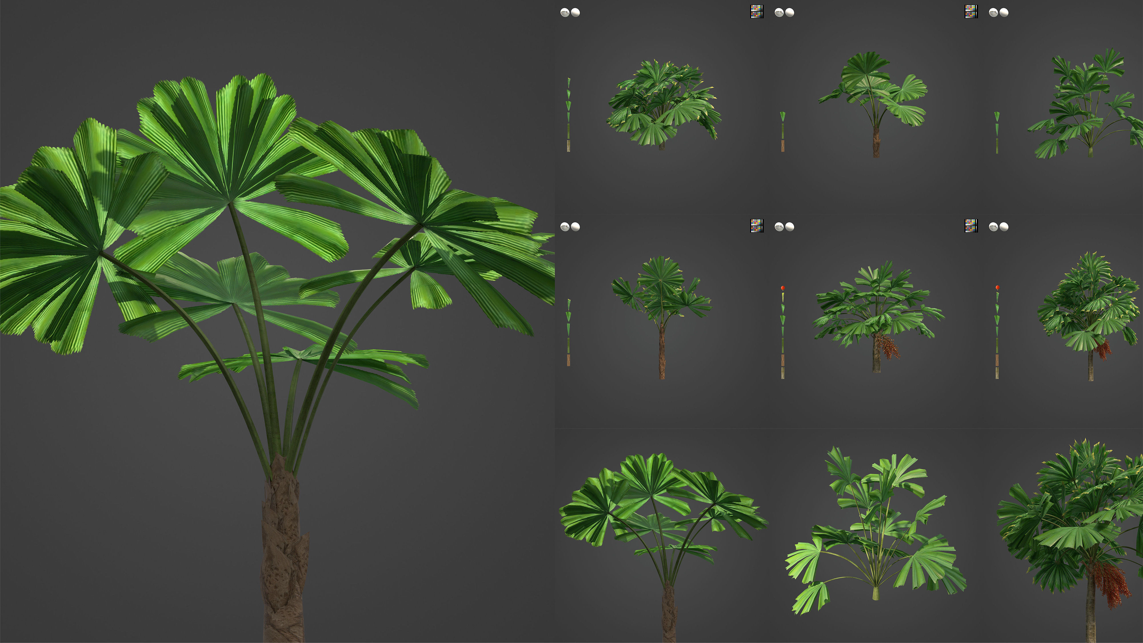 Xfrog Oceania 3D Model Collection_4