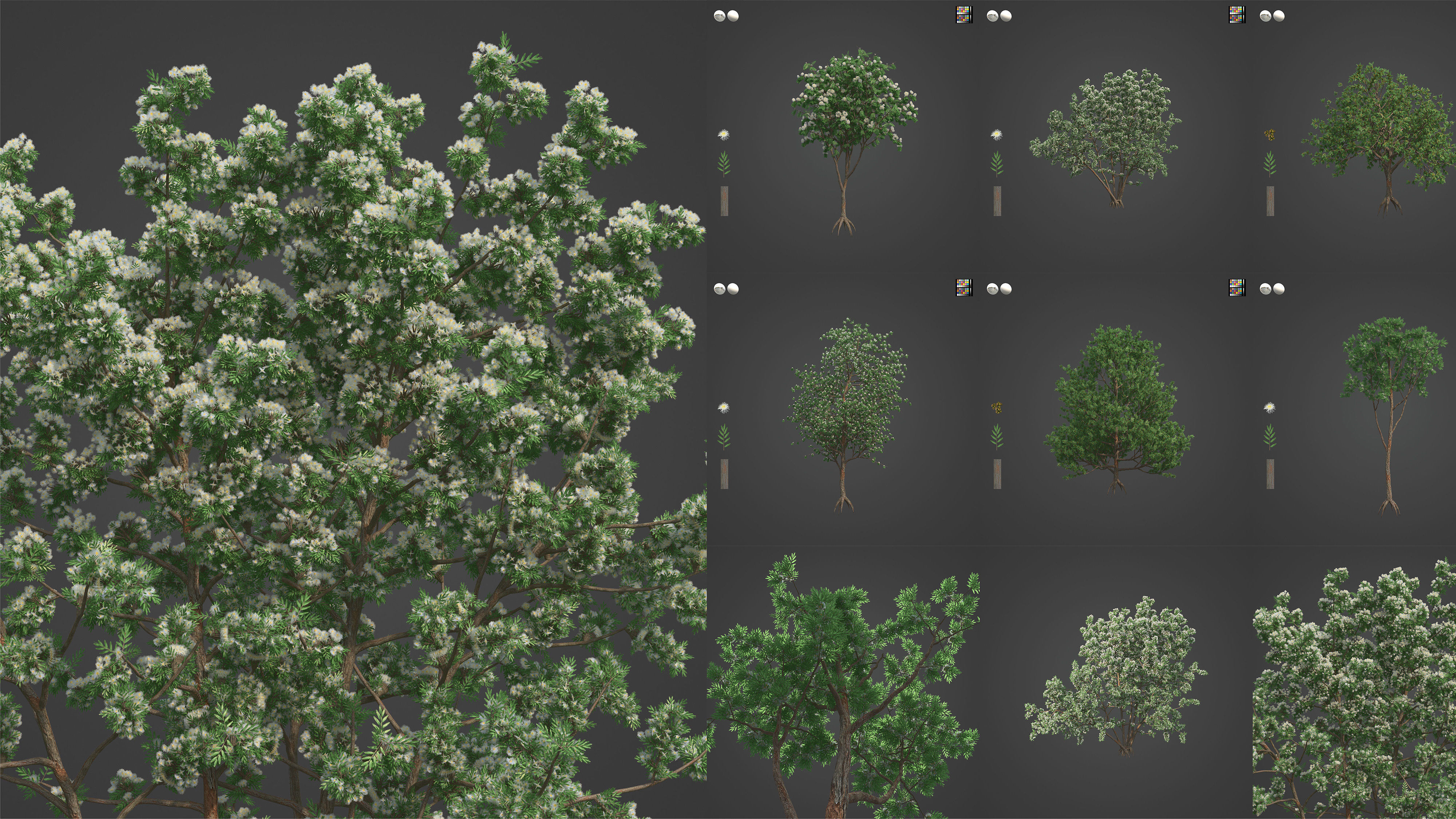 Xfrog Oceania 3D Model Collection_8