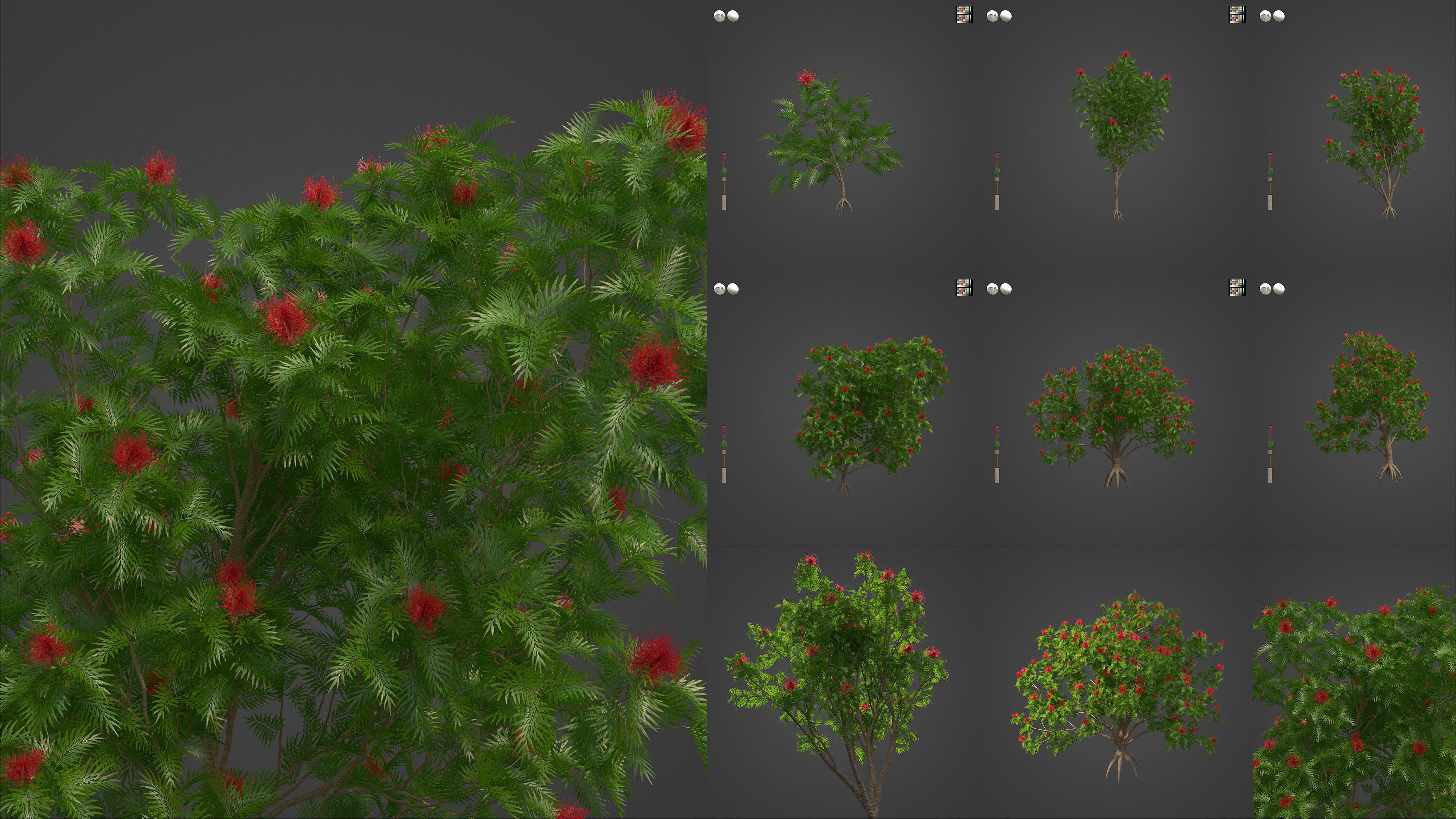 Xfrog Oceania 3D Model Collection_5