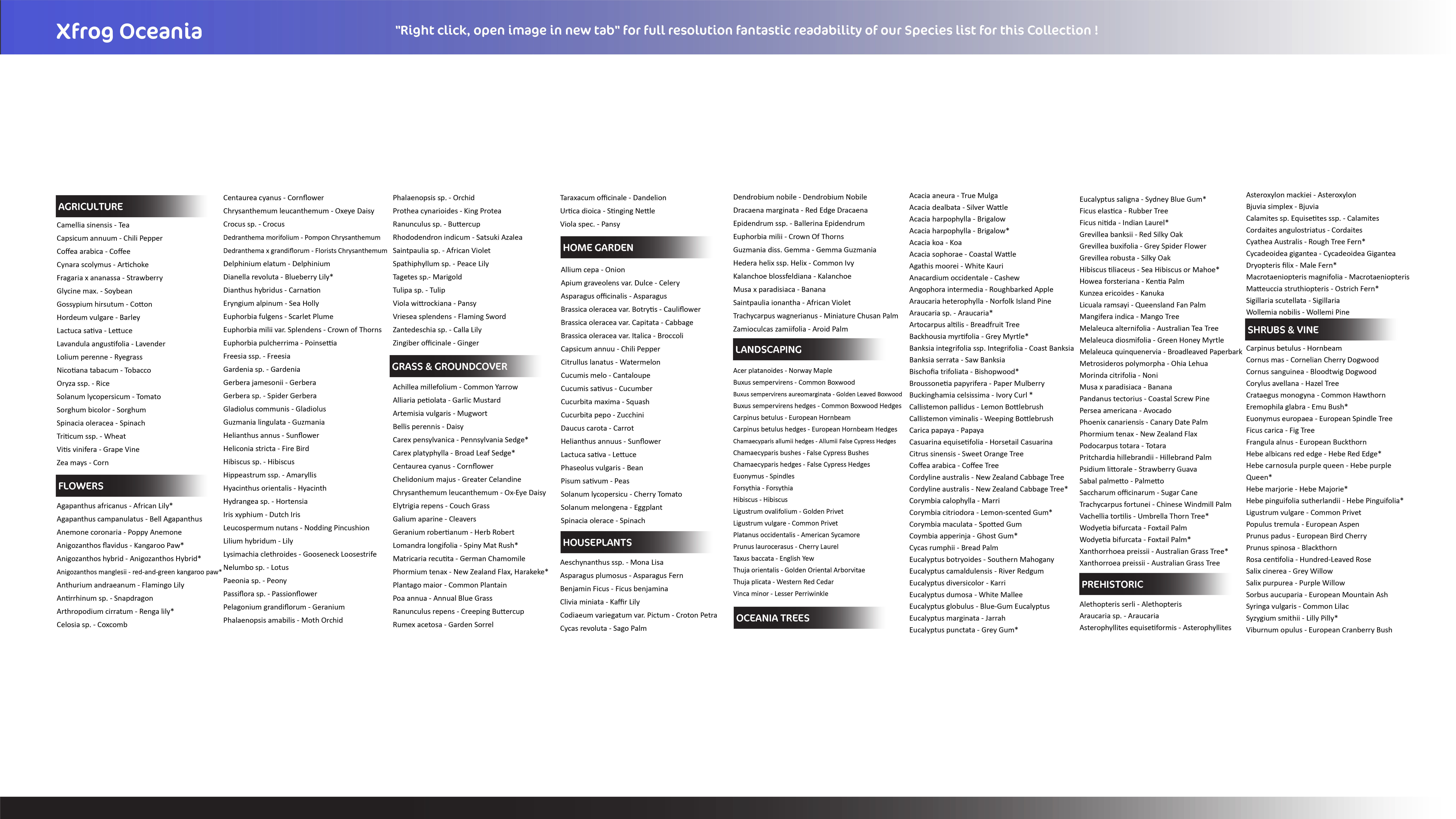 Xfrog Oceania 3D Model Collection_1
