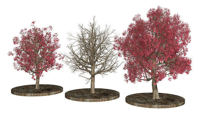 Three Pink trees v2 3D model