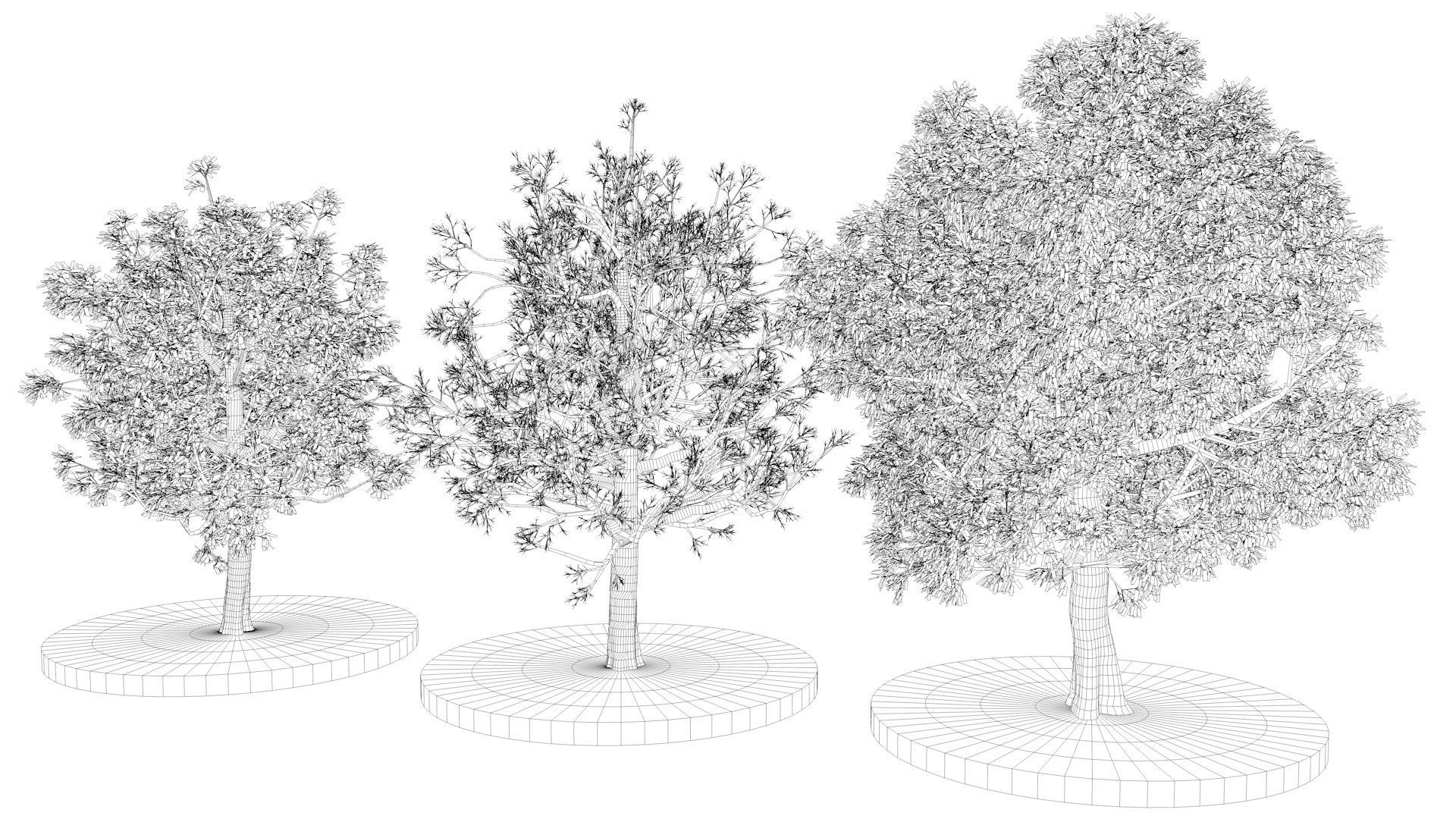 Three Pink trees v2 3D model_9