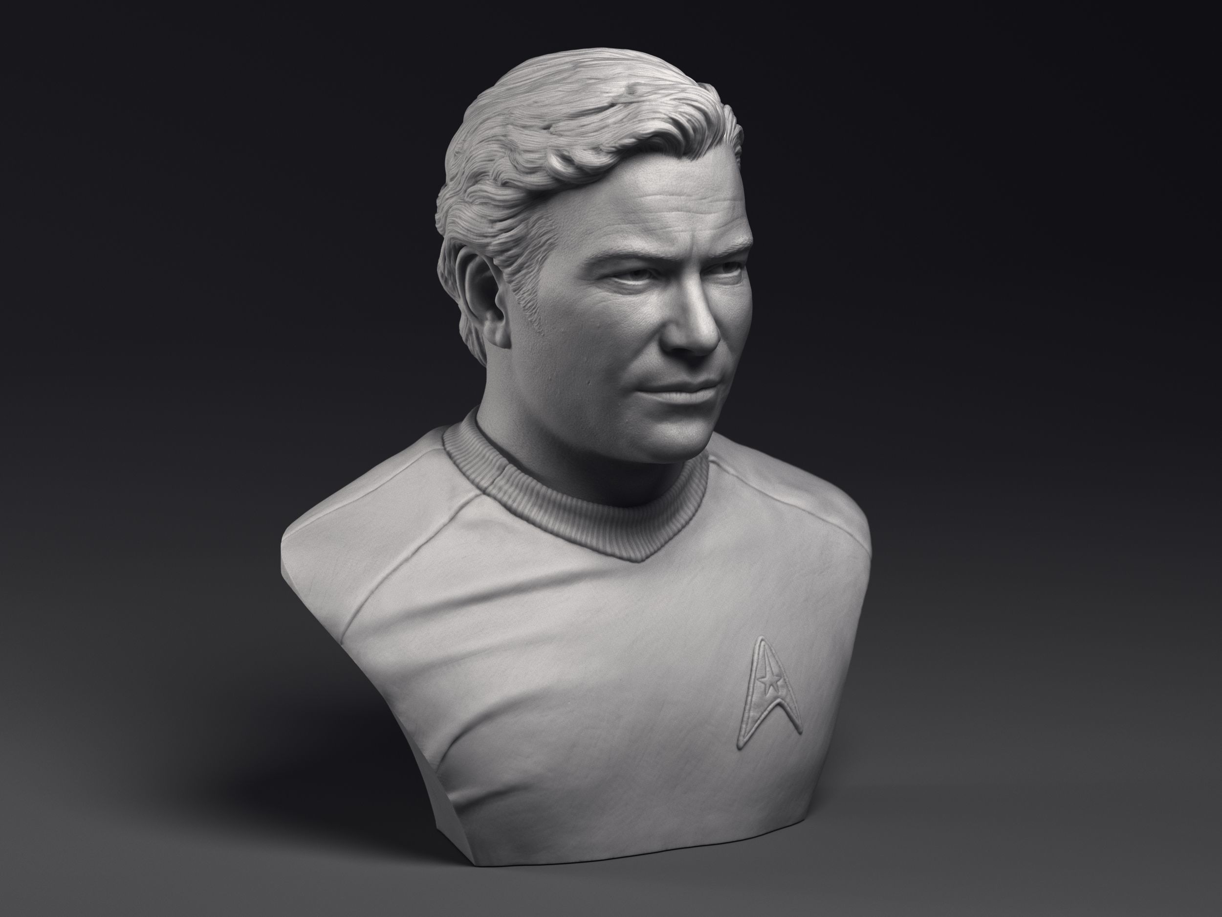 Kirk and Spock  3d printable bust collection _9