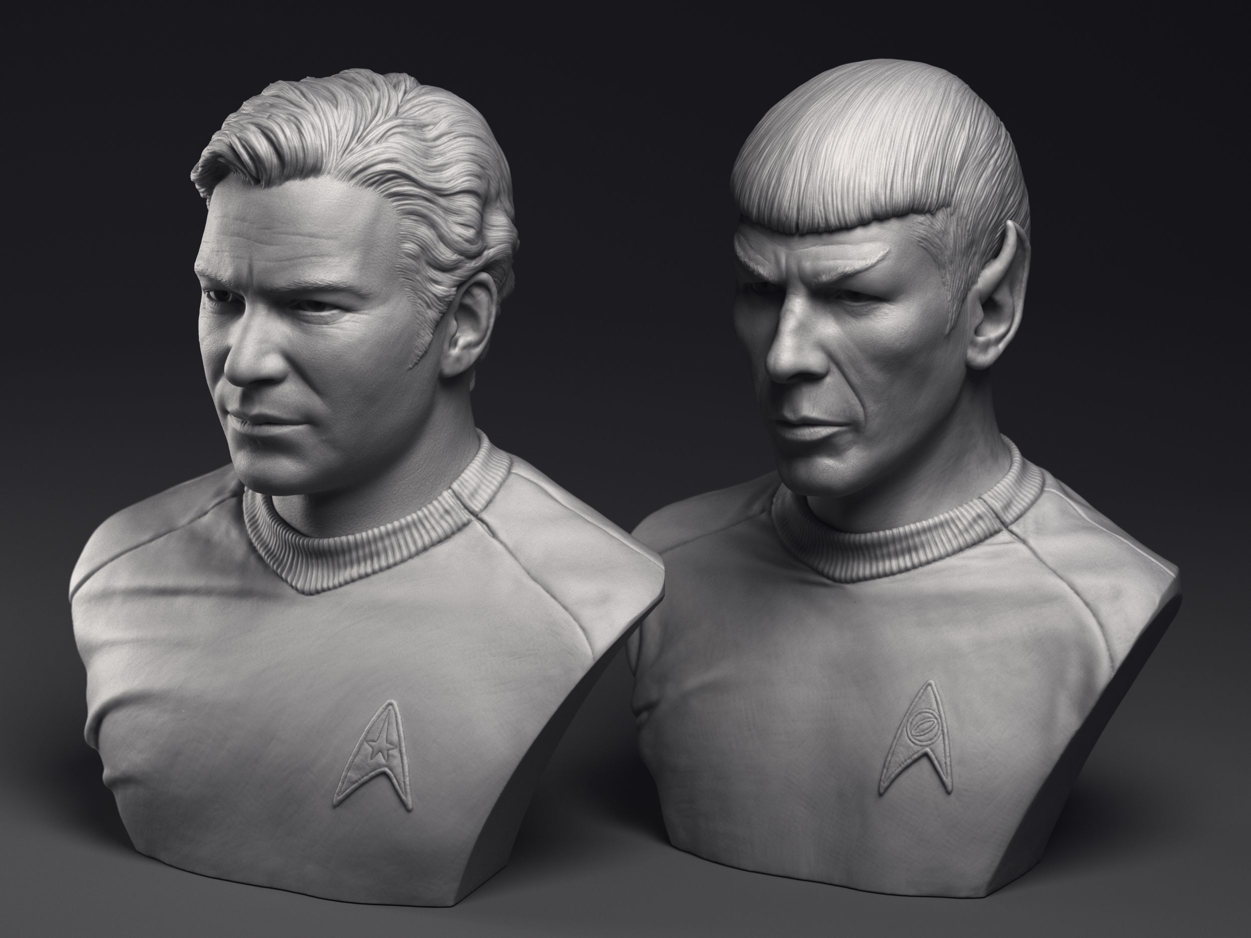 Kirk and Spock  3d printable bust collection _2