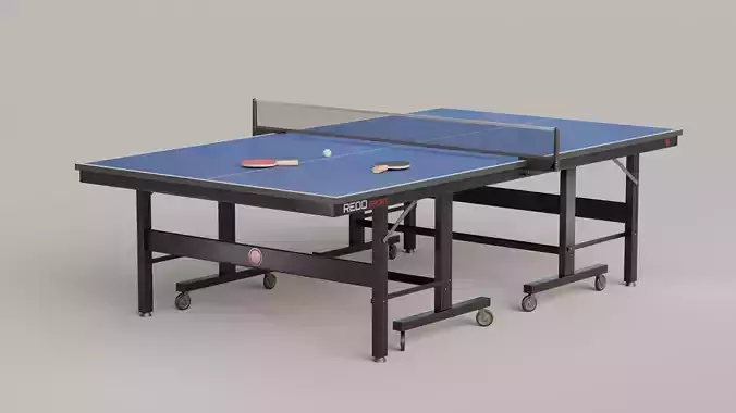 Tennis Table Ping Pong