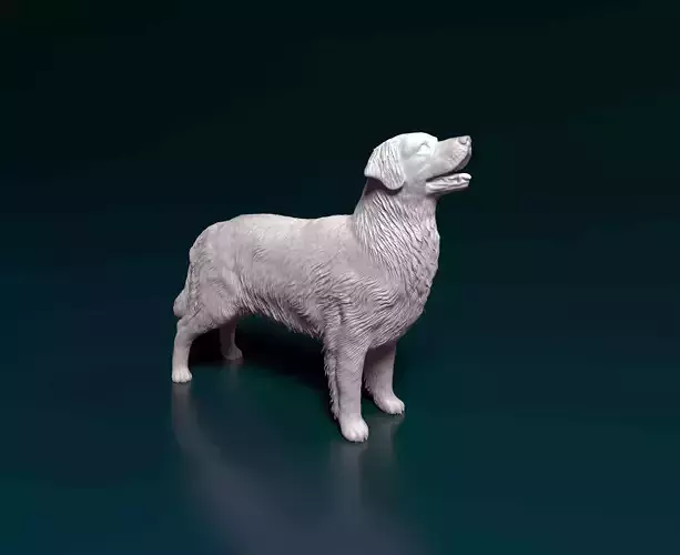 Golden retriever dog 3D print model