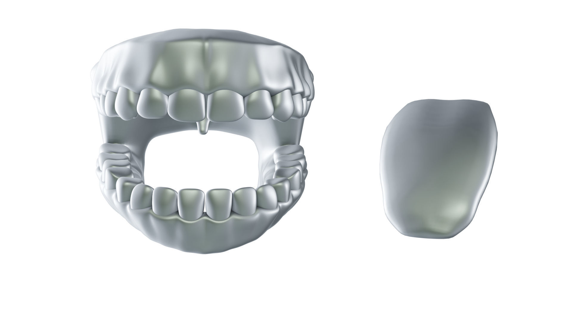 Mouth tooth and tongue STL 3D print model_6