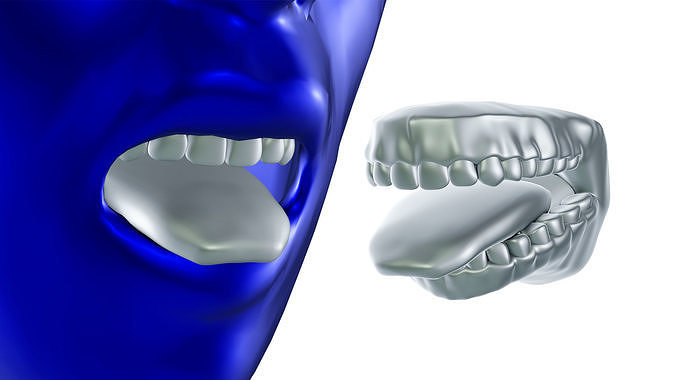 Mouth tooth and tongue STL 3D print model