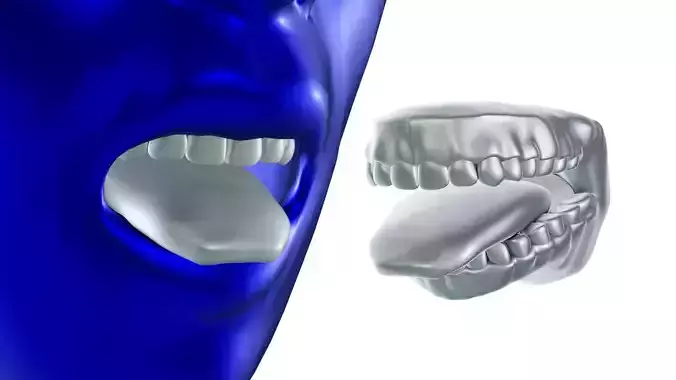 Mouth tooth and tongue STL 3D print model
