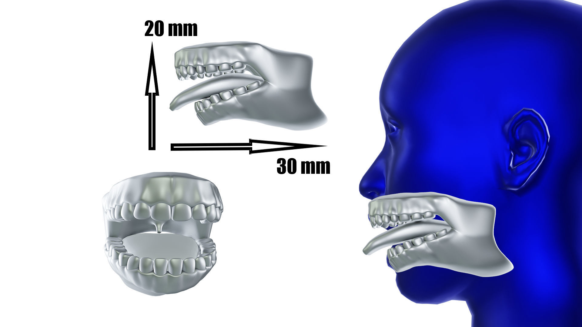Mouth tooth and tongue STL 3D print model_1