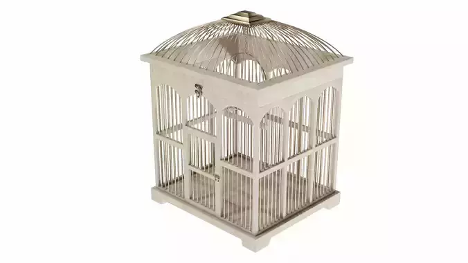 Bird-cage bird cage