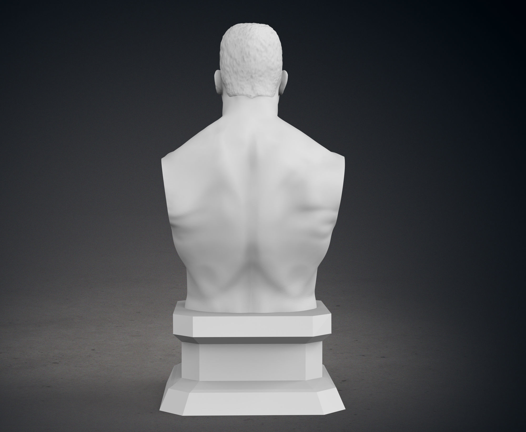 The Rock Bust - Classic and Current Versions 3D print model_6