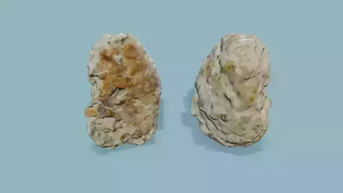 3D Scan Steam Cutlet 02