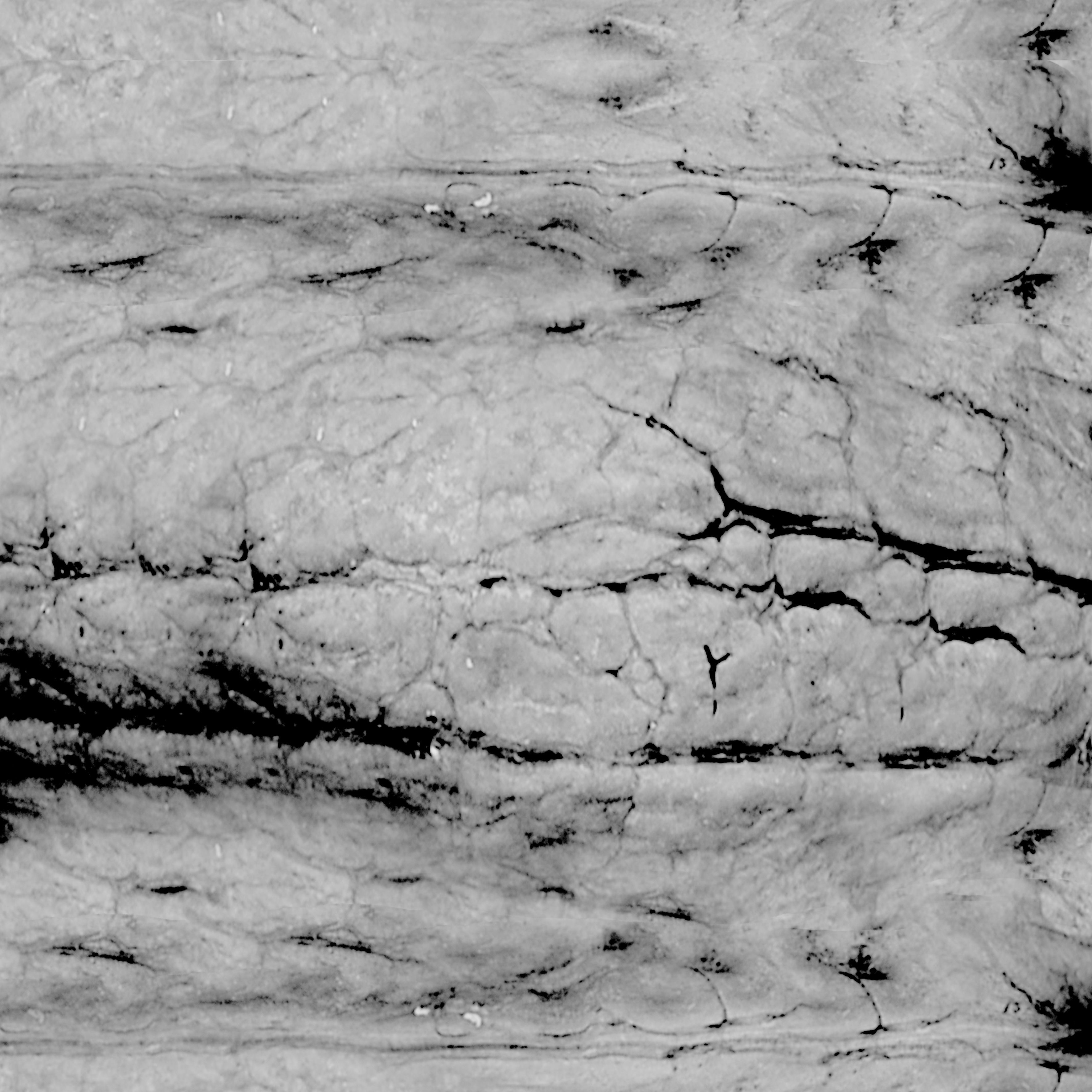 Different kinds of nuts 3D model_4