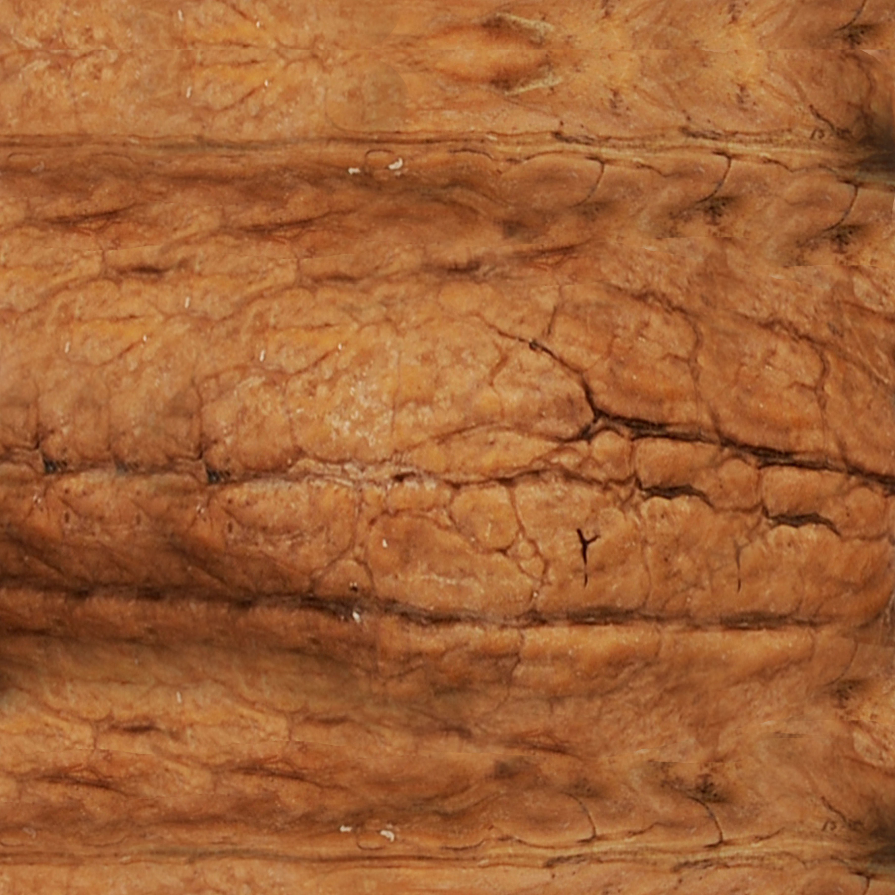 Different kinds of nuts 3D model_5