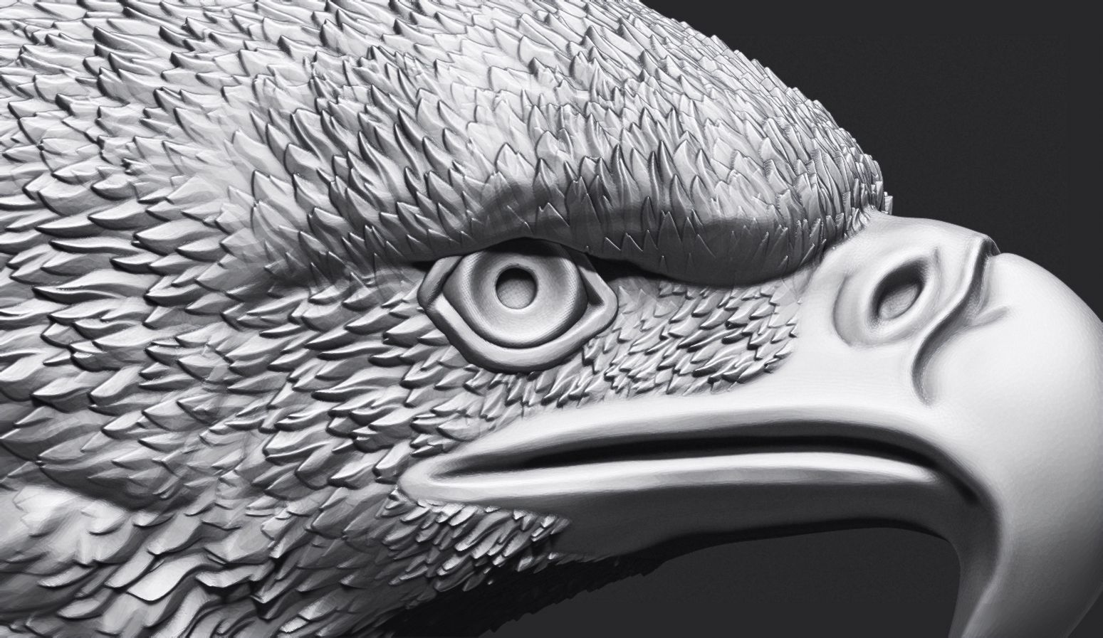 Eagle Head 3D print model_11