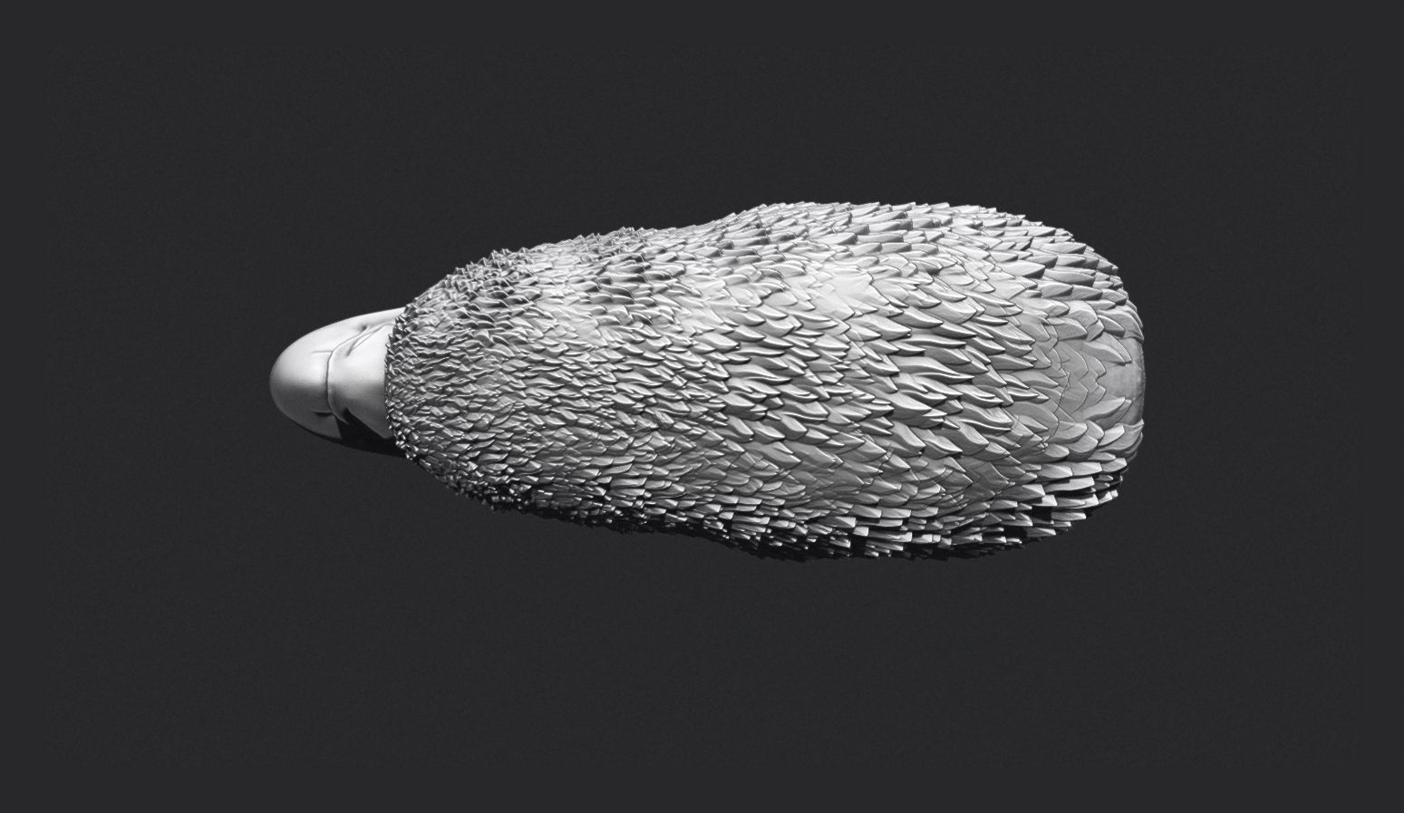 Eagle Head 3D print model_8