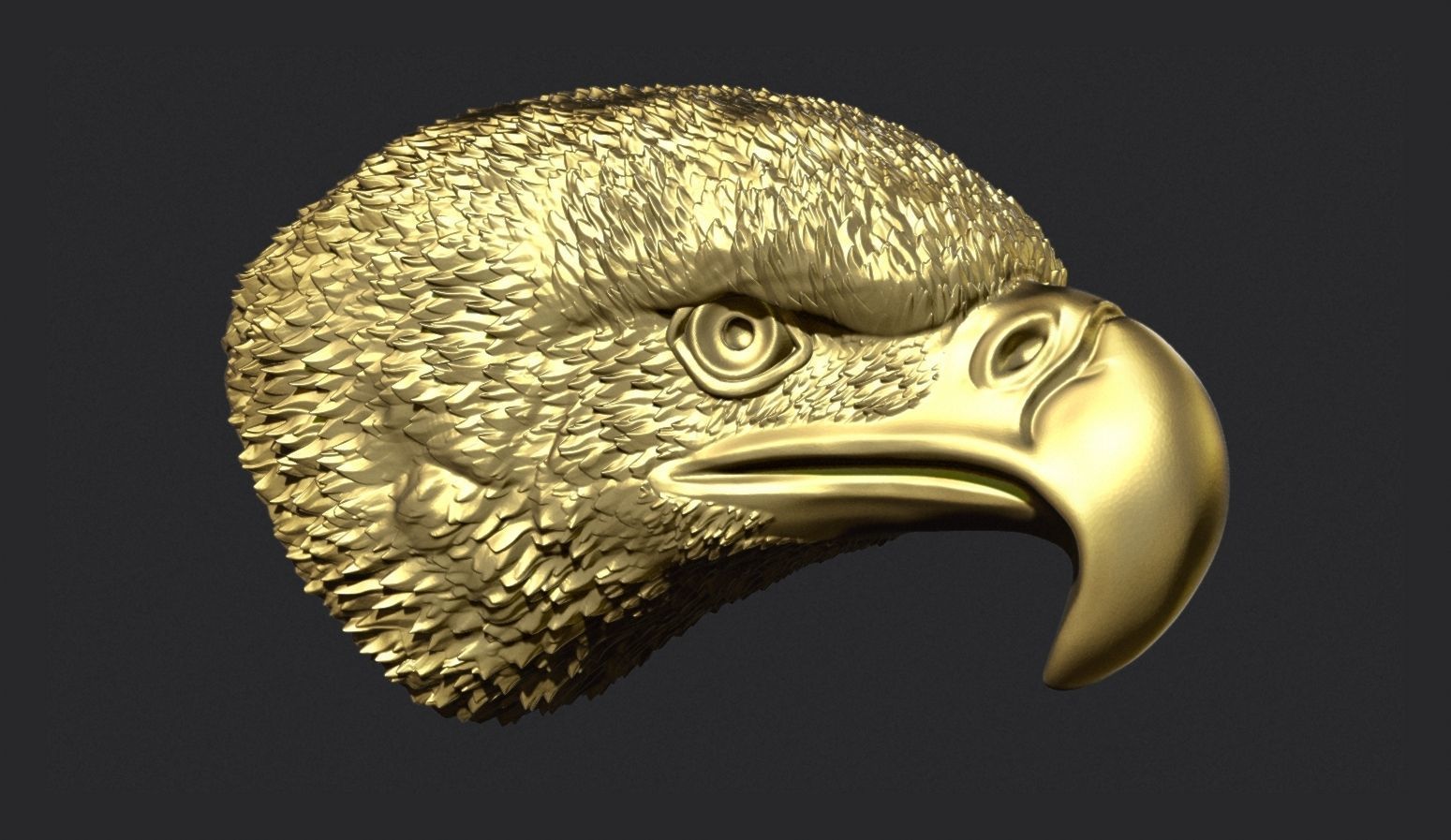 Eagle Head 3D print model_3
