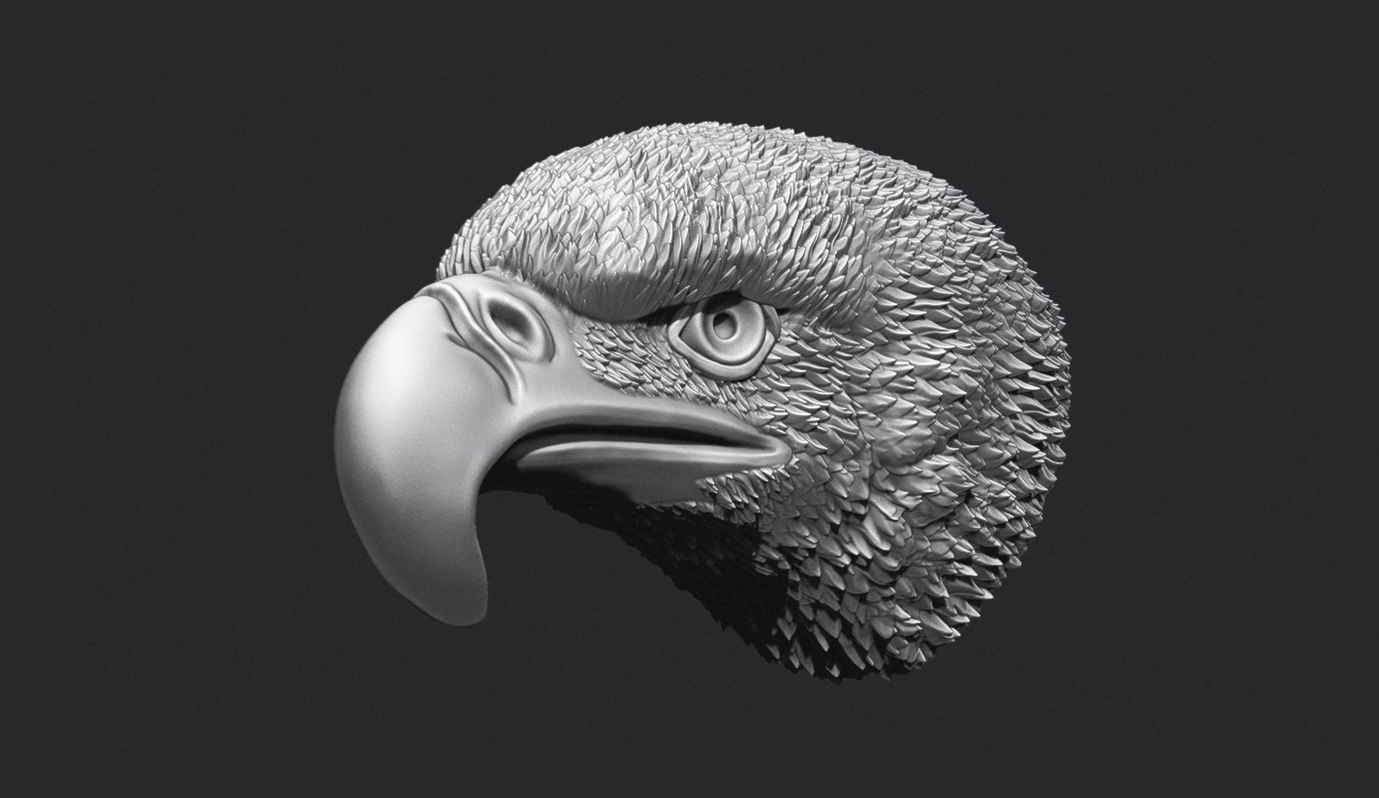 Eagle Head 3D print model_5