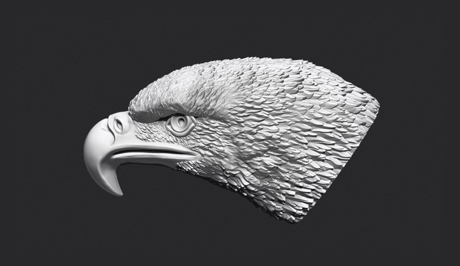 Eagle Head 3D print model_2