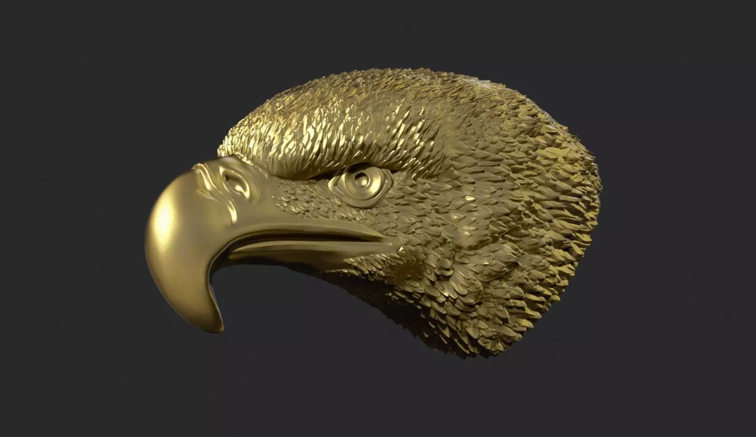 Eagle Head 3D print model_0