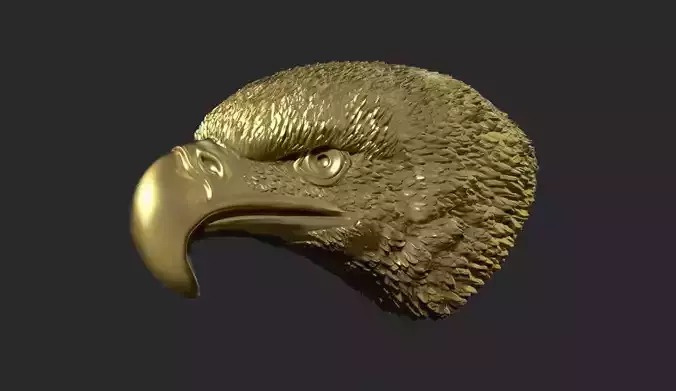 Eagle Head 3D print model