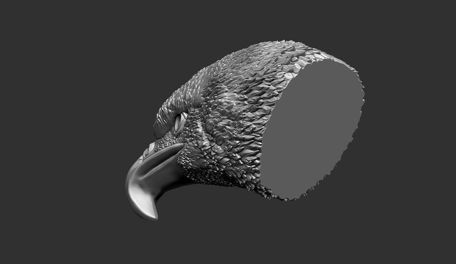 Eagle Head 3D print model_6