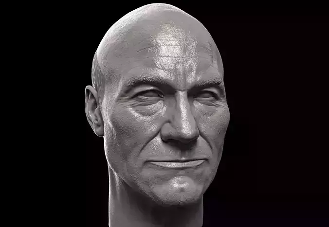 Patrick Stewart Head
