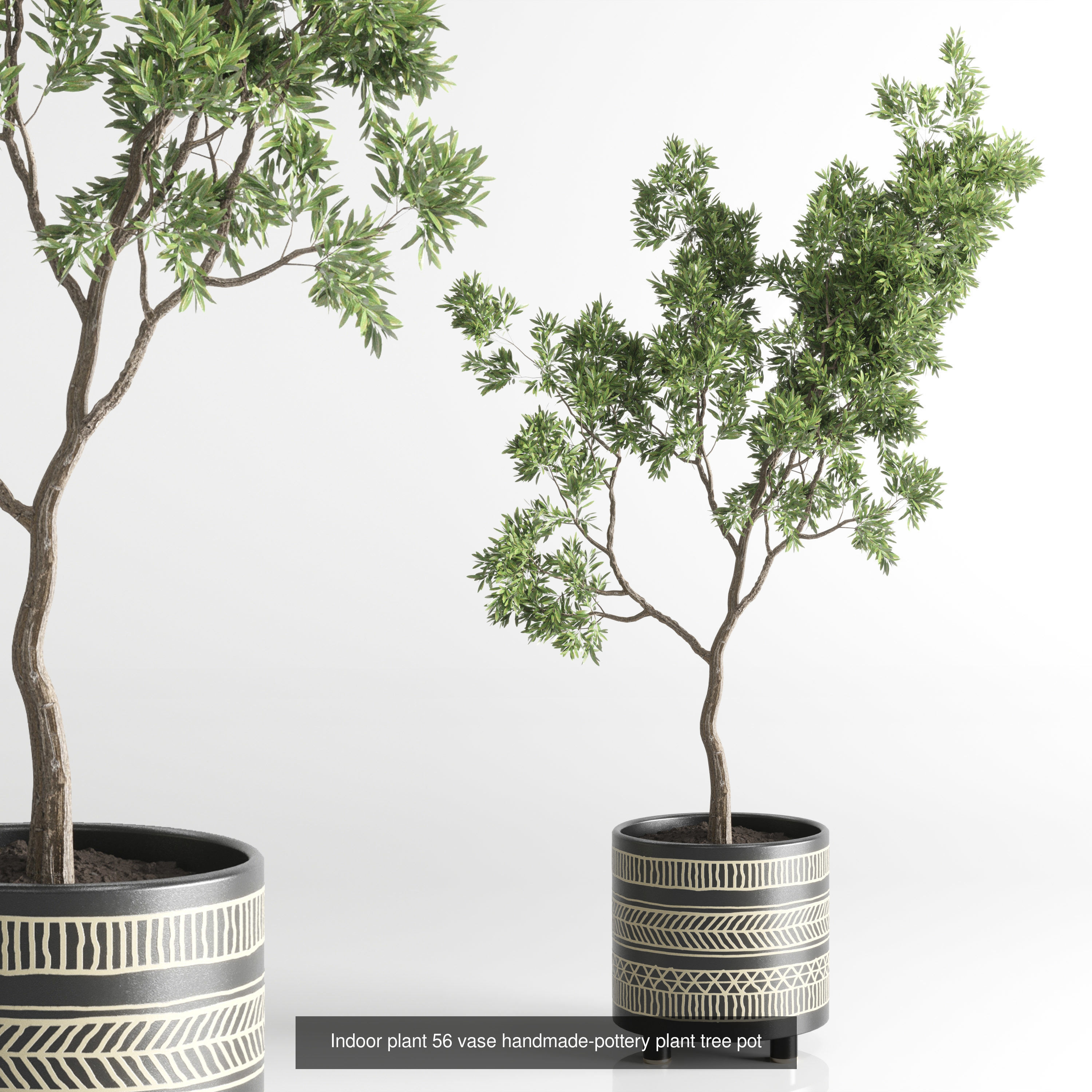 collection Indoor plants hanging pot _4