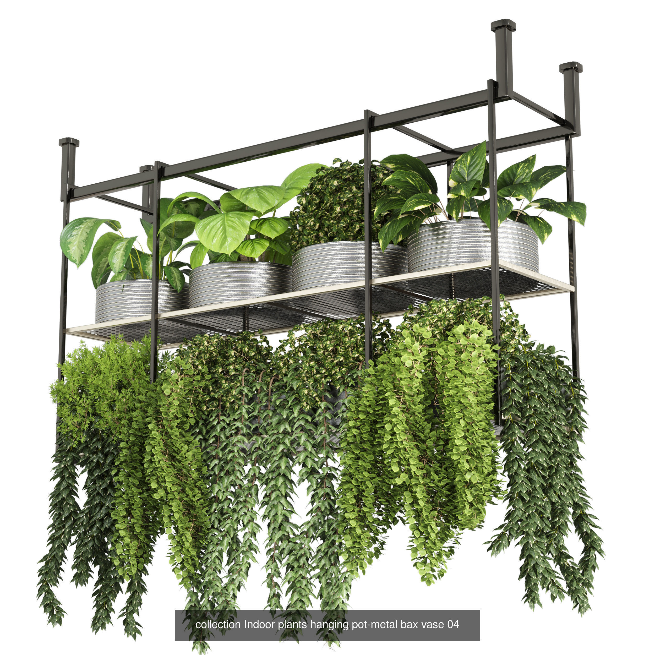 collection Indoor plants hanging pot _3