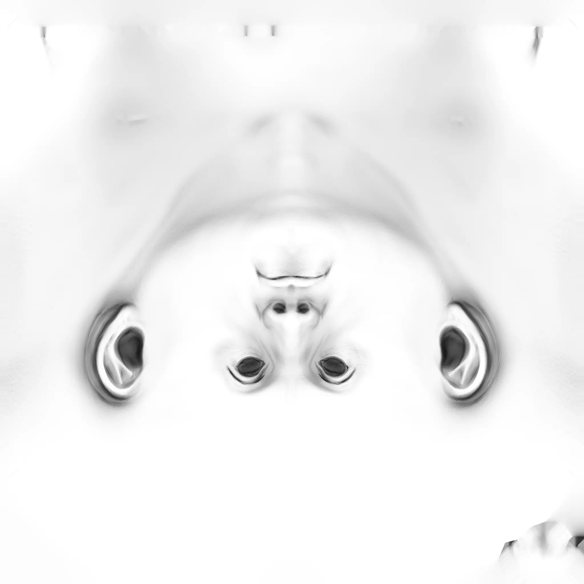 Stallone Likeness Updated 3D model_7