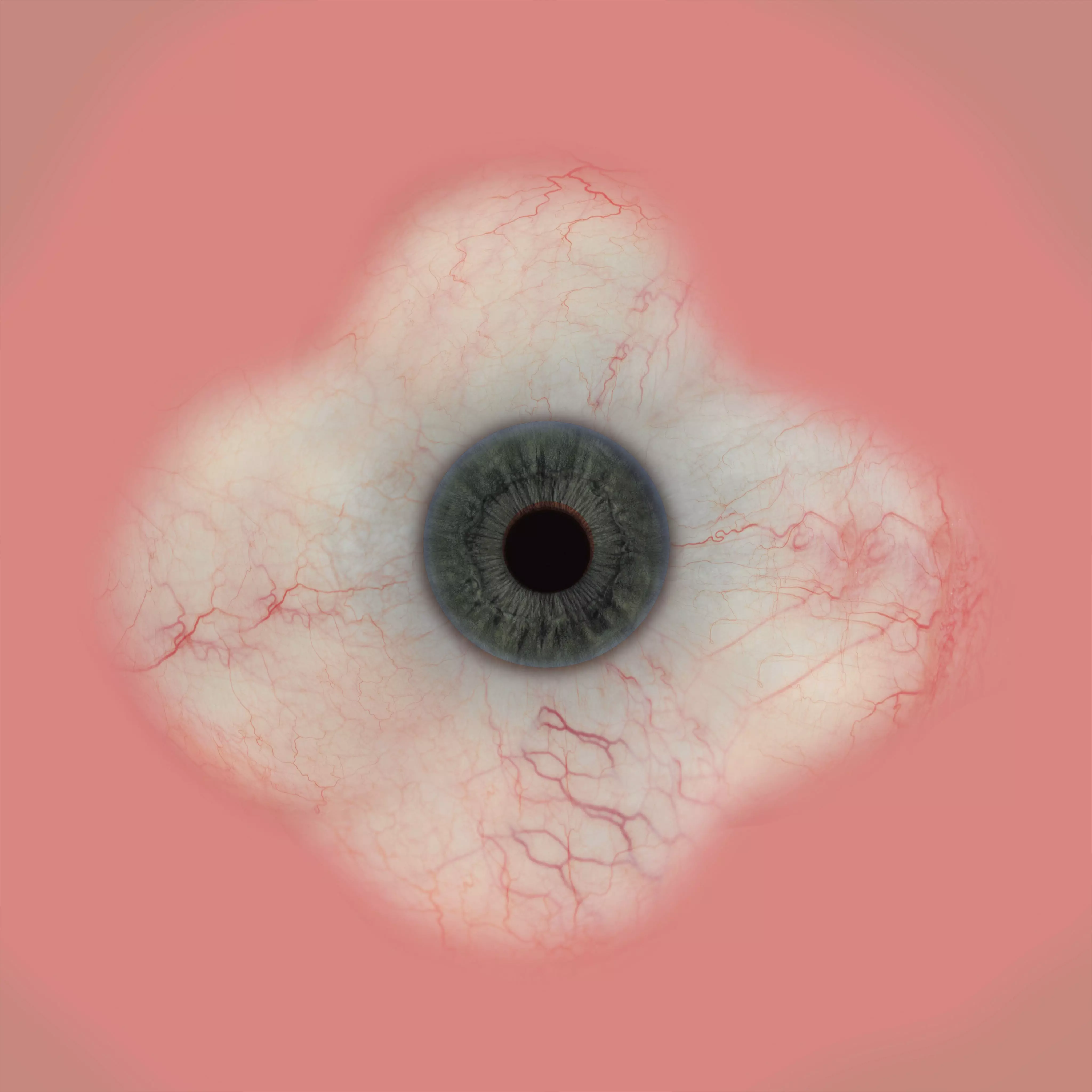 Stallone Likeness Updated 3D model_8