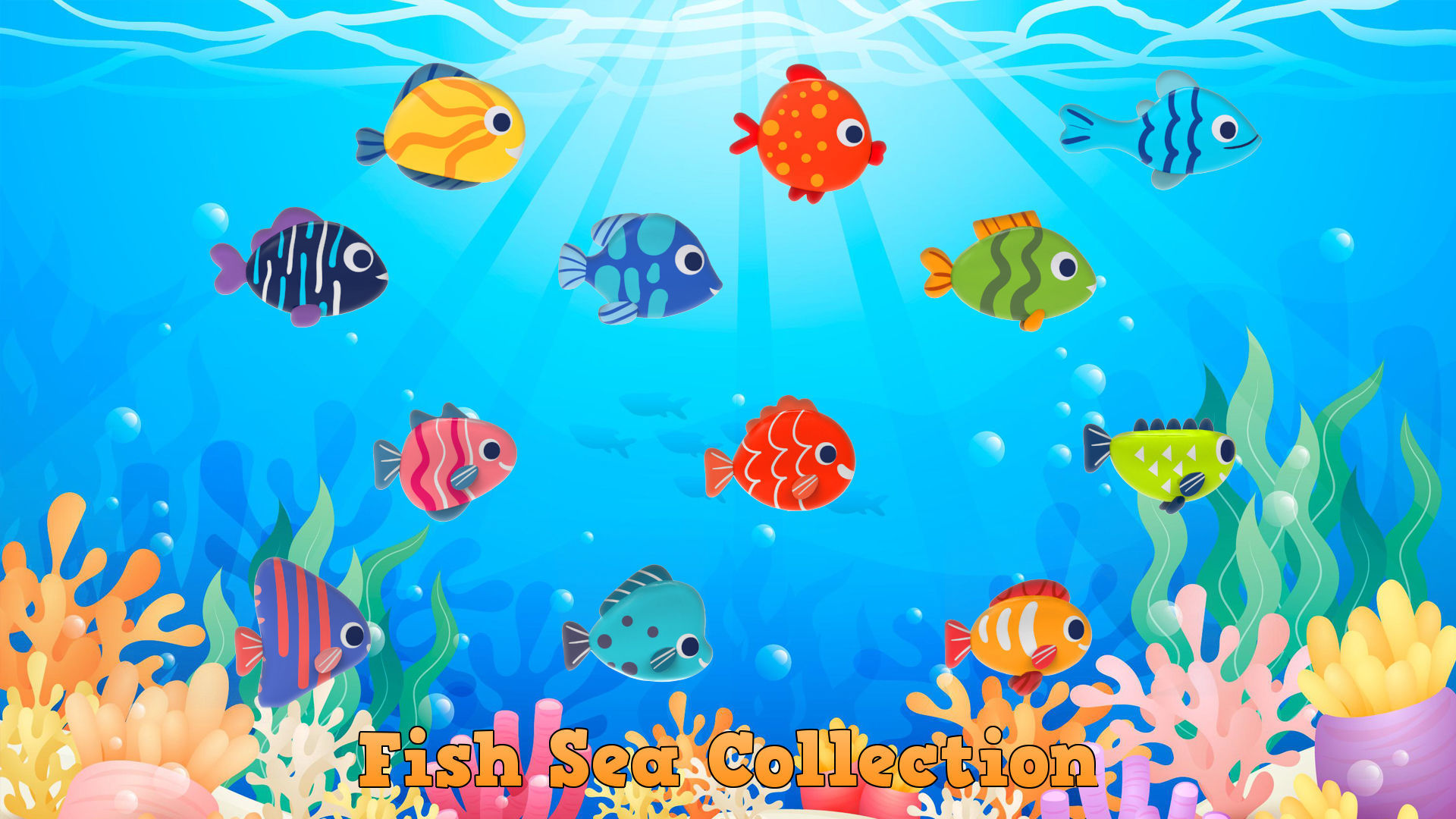 Fish Sea Collection Low-poly 3D model_60
