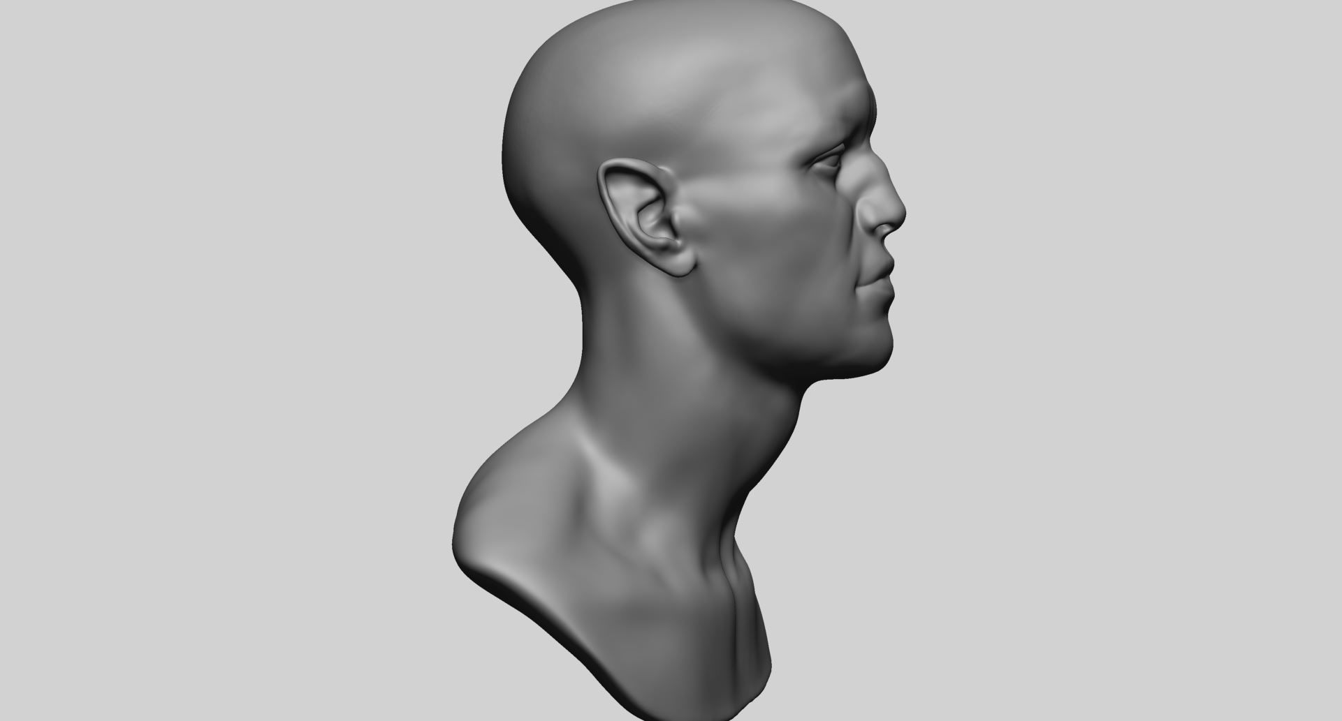 Speed Sculpt - Male Head 3D model_9