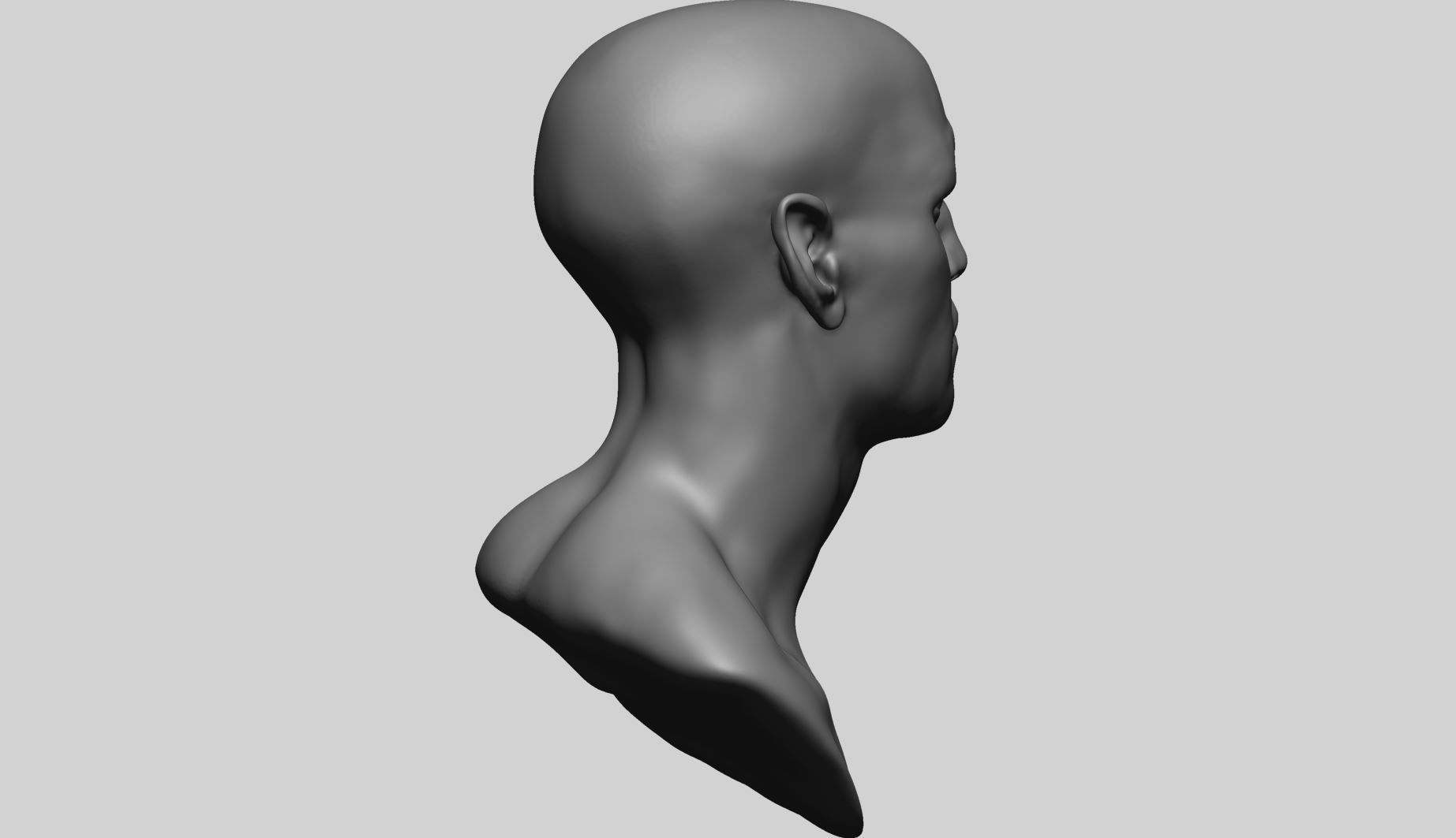 Speed Sculpt - Male Head 3D model_10