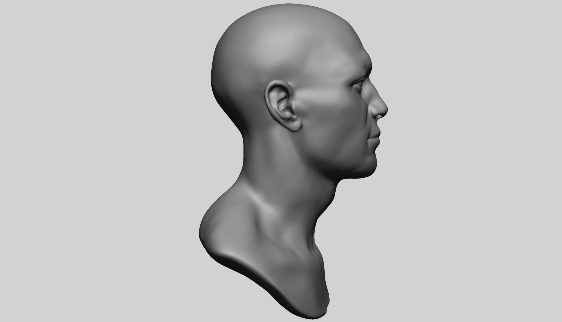 Speed Sculpt - Male Head 3D model_5
