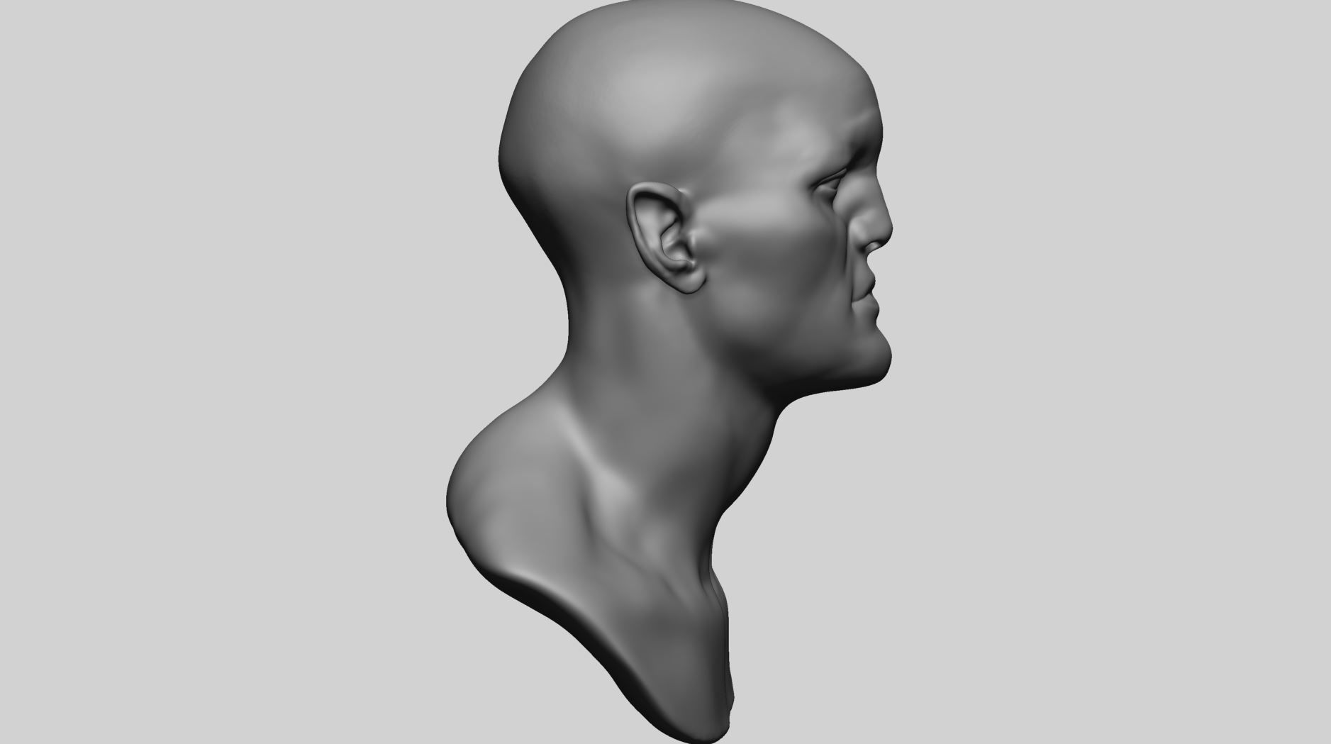 Speed Sculpt - Male Head 3D model_12