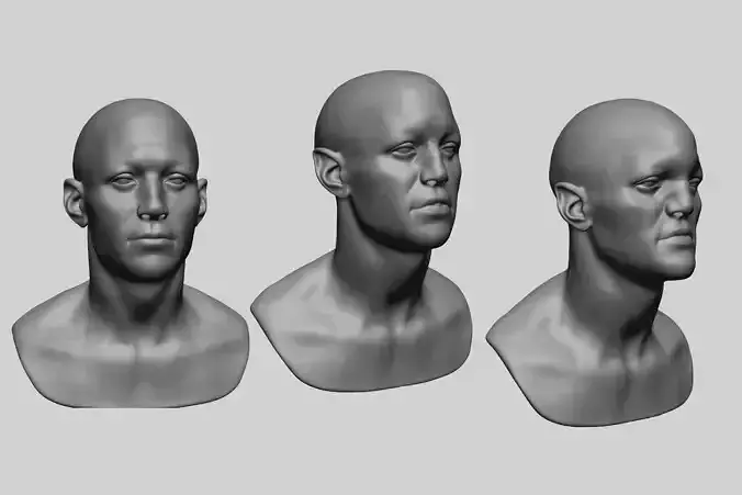 Speed Sculpt - Male Head 3D model