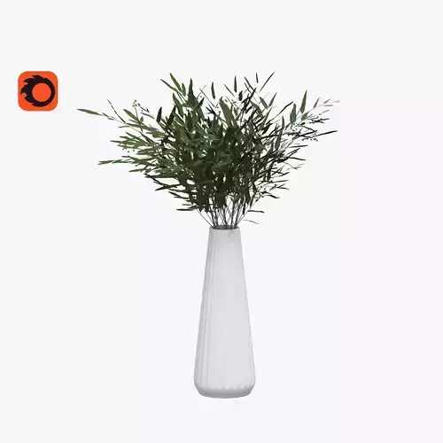 Eucalyptus in a vase
