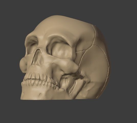 Skull Pot Plant 3D print model_5