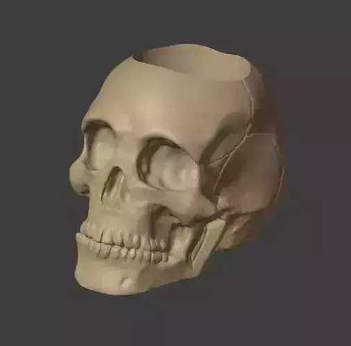 Skull Pot Plant 3D print model