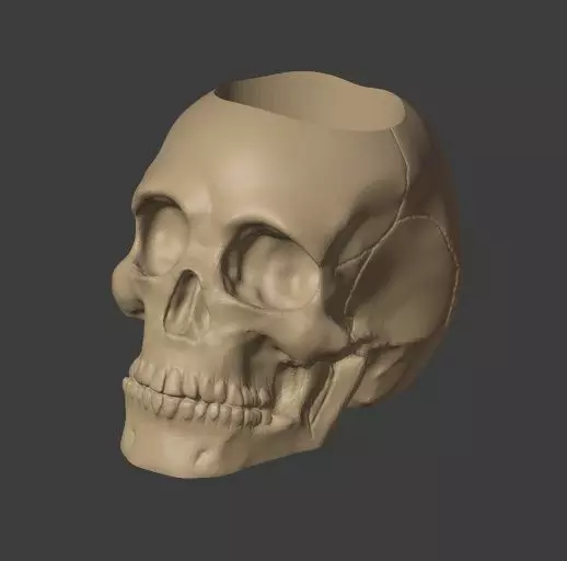 Skull Pot Plant 3D print model_0