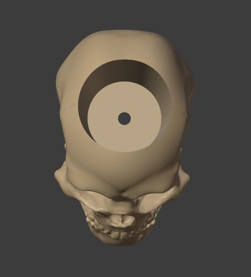Skull Pot Plant 3D print model_4