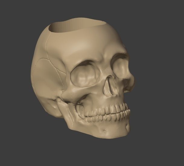 Skull Pot Plant 3D print model_1