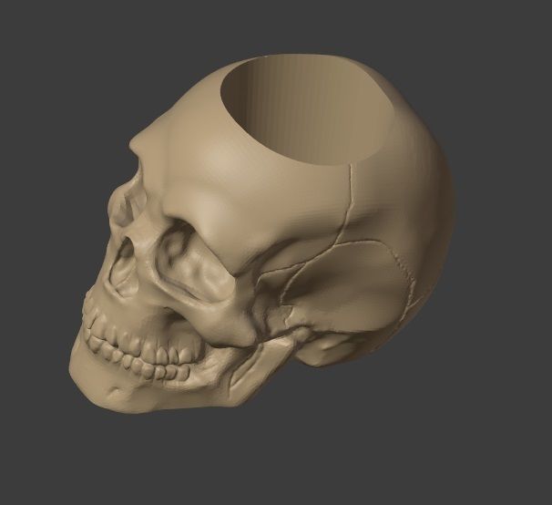 Skull Pot Plant 3D print model_2