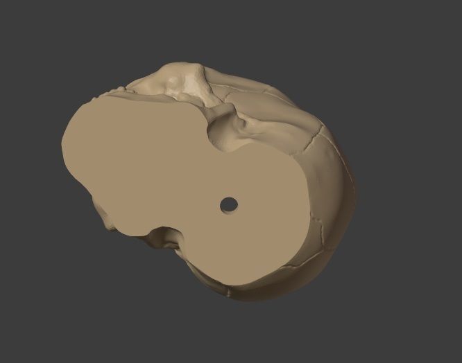 Skull Pot Plant 3D print model_3