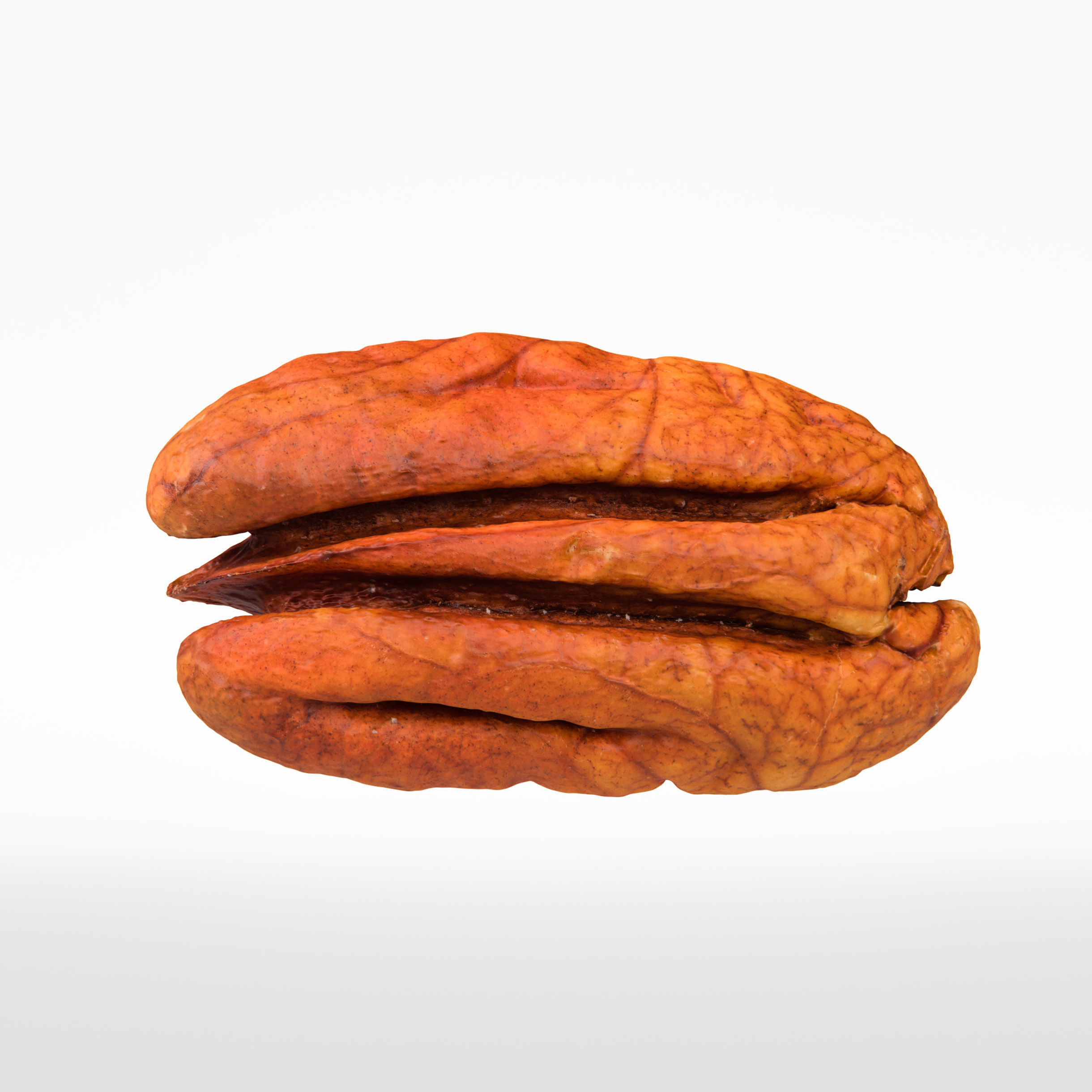 Pecan 3D model_5